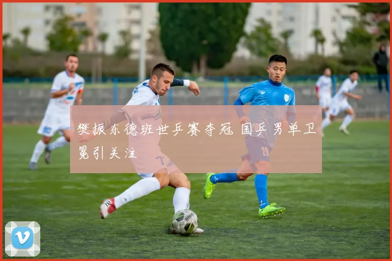 樊振东德班世乒赛夺冠 国乒男单卫冕引关注