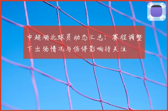 中超湖北球员动态汇总：赛程调整下出场情况与伤停影响待关注