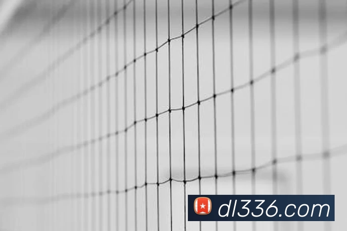 App Interface Preview